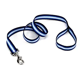 Coastal Trendz Graduated 1см х 1.8м Повідець для собак