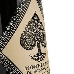 Вино Fattoria Viticcio Morellino di Scansano червоне сухе 0.75 л - мініатюра 3