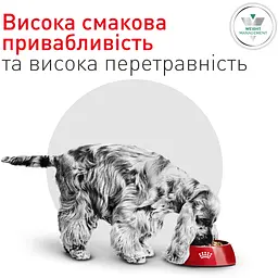 Сухий корм для собак малих порід Royal Canin Glycobalance Small при цукровому діабеті 1.5 кг - мініатюра 4