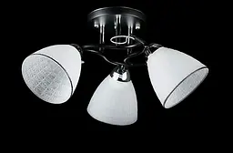 Люстра стельова Splendid Ray L8431/3, 3 лампи E27, 24 см, чорний, хром, білий, метал, скло, сучасний стиль для дому