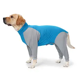 Піжама/попона для собак MOFESIPI Recovery Suit Blue&Grey