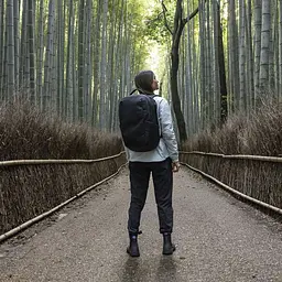 Рюкзак Thule Subterra 2 Backpack 27L TSLB-417 Black (7096677) - мініатюра 6