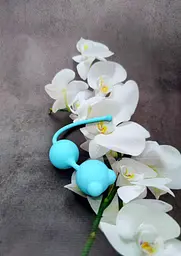 Вагінальні кульки Loveshop 16.5 см*2.7 см Balls Blue