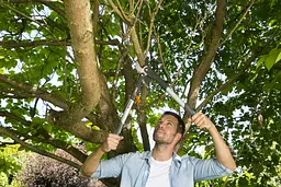 Сучкоріз із храповим механізмом Gardena SmartCut 590 A (08773-20) - мініатюра 3