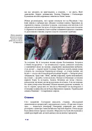 Культ предків. Нетуристичні звичаї України - мініатюра 4