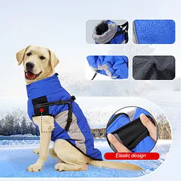 Водонепроникна куртка для собак Wan Talk Designer Winter Blue Dog Jacket, M - мініатюра 2