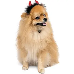 Аксесуар для собак Pet Fashion Imp M-L червоний  - мініатюра 3