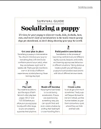 What's My Dog Thinking? Understand Your Dog to Give Them a Happy Life - мініатюра 5