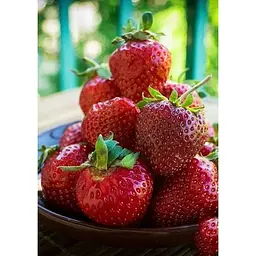 Саджанець Agro-Market Полуниця Кебот (Cabot) 5шт (пізній термін дозрівання, має тривалий термін зберігання) (38174) - мініатюра 5