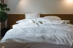Комплект постільної білизни Ecotton Євро 210х220 см готельний із Страйп-сатину білий полоска 1х1 см (25143) (20896)