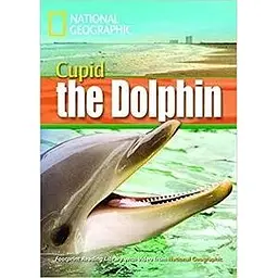 FRL1600 B1 Cupid the Dolphin with Multi-ROM
