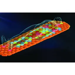 Килимок Sea To Summit Air Sprung UltraLight Insulated Mat Regular (1033-STS AMULINS_R) - мініатюра 3