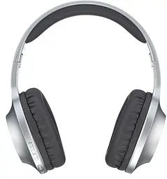 Гарнітура Panasonic RB-HX220BEE-S (6612085) - мініатюра 5