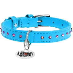 Нашийник для собак Waudog Glamour, шкіряний, зі стразами, з QR паспортом, S, 21-29х1,2 см, блакитний