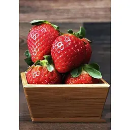 Саджанець Agro-Market Полуниця Ерос 5шт (середній термін дозрівання) (37306) - мініатюра 5