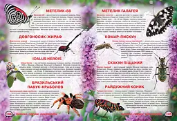 Книга Кристал Бук Ілюстрований атлас живої природи (F00014008) - мініатюра 3