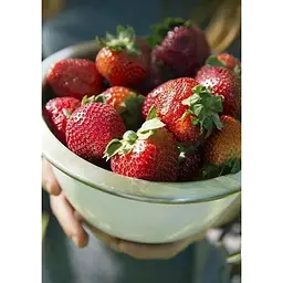 Саджанець Agro-Market Полуниця Маршал (Marshal) 5шт (середній термін дозрівання, сорт стійкий до багатьох хвороб) (36948) - мініатюра 4