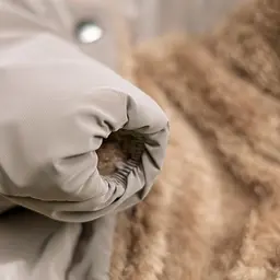 Комбінезон Pet Fashion Ego для собак, розмір S2, бежевий - мініатюра 4