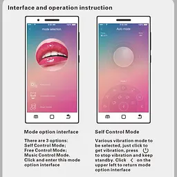 Вагінальні кульки з функцією підключення до смартфону Pretty Love Elvira Phone Baile BI-210212HP 86746 - мініатюра 3
