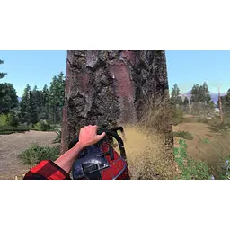 Ключ активації Microsoft Lumberjack's Dynasty для Xbox One/Series - мініатюра 2
