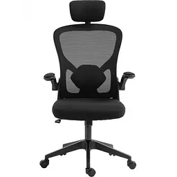 Крісло ігрове Sandberg ErgoFusion Gaming Chair Basic чорне