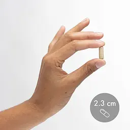 Ферменти люмброкінази Dr. Mercola Lumbrokinase Enzymes, 30 капсул для підтримки серцево-судинної системи - мініатюра 3