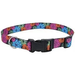 Нашийник для собак Coastal Pet Attire Style 1см х 12-30см (06321_WDF12)