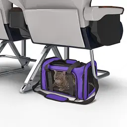 Сумка-переноска для домашніх тварин Bestopet (Люпосанчик) Portable Travel Bag - мініатюра 3