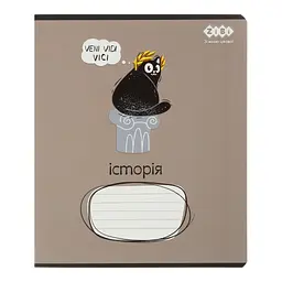 Зошит ZiBi предметний CRAZY CAT 48 аркушів клітинка, історія (ZB.1703-18) - мініатюра 1