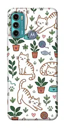 TPU чохол Demsky Cats pattern для Motorola Moto G60