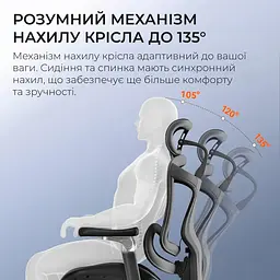 Офісне крісло Sihoo DORO C300 Pro Mesh Black with footrest (DORO-C300-PRO-M101-JT) - мініатюра 9