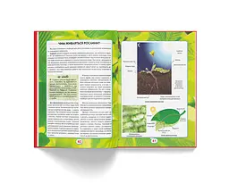 Книга Кристал Бук Ви повинні це знати Все про все (F00023278) - мініатюра 8
