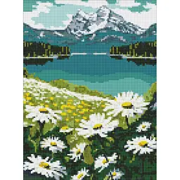 Алмазна мозаїка Квітучі ромашки art_selena_ua AMO7803, 30х40см