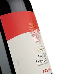 Вино Cesari Merlot Trevenezie IGT Essere червоне сухе 1.5 л - мініатюра 3