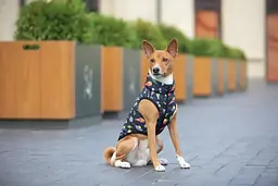 Курточка для собак Waudog Clothes, Рік та Морті 2, M50 - мініатюра 3