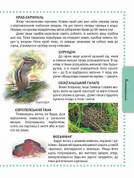 Тварини. Енциклопедія - мініатюра 3