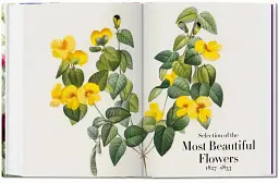Redouté. The Book of Flowers - мініатюра 6