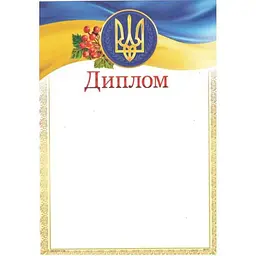 Диплом ЛЮКС КОЛОР № ДМ-031 А4
