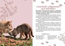 Вусохвості й лапокрилі. Читанка про тварин - мініатюра 4