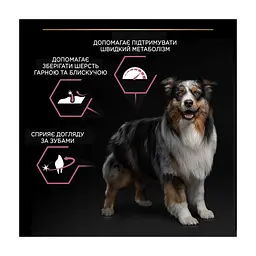 Сухий корм для собак Purina Pro Plan Dog Medium Adult Sensitive Skin з лососем і рисом 14 кг (7613035120464) - мініатюра 8