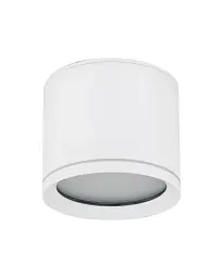 Точковий світильник TK Lighting 10595 Vivo GX53 1x11W IP44 білий