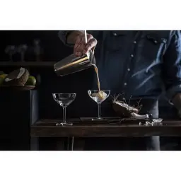 Келих для мартіні Schott Zwiesel Basic Bar Selection 226 мл (115839) - мініатюра 2