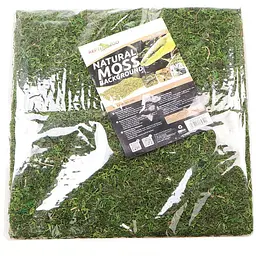Фон з натурального моху Repti-Zoo Natural Moss Back & Bottom 30x30см 2 шт (NCM3030) для тераріуму - мініатюра 2