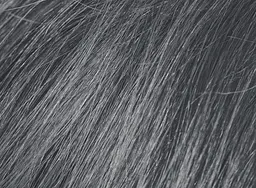 Шампунь камуфлюючий Beardburys Men's Color Shampoo Grey 9G сірий - мініатюра 5