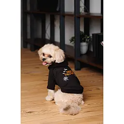 Толстовка для собак Pet Fashion Halloween М чорна - мініатюра 6