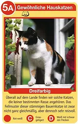 Карткова гра Породи котів Ravensburger Tierquartett Katzen німецька версія 32 породи котів 3–6 гравців (SKU-217) - мініатюра 3