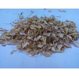 Квасоля Стулки Фасоля Phaseolus vulgaris - мініатюра 1