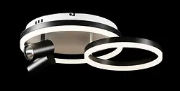 Люстра стельова LED Splendid Ray L2464/550/2+2, 4 лампи, білий/чорний, димер, сучасний стиль - мініатюра 7