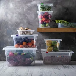 Гастроємність FoREST серія "Gastronorm" з поліпропілену GN 1/2 h 150 мм 9 л (241280) - мініатюра 2