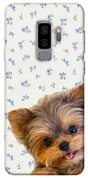 TPU чохол Demsky Cute Yorkie для Samsung Galaxy S9+
